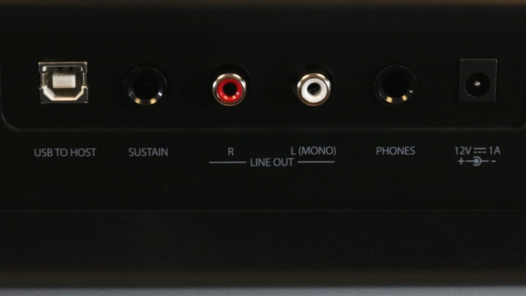 Die Anschlüsse des Thomann SP-120 bieten Buchsen für Kopfhörer und Sustain sowie USB-Audio/MIDI und einen Line-Out als Cinch-Buchsen.