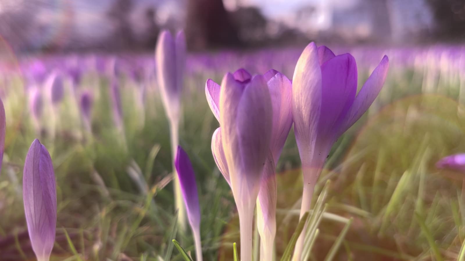 Jahreszeiten in der Musik Frühling, bitte jetzt!