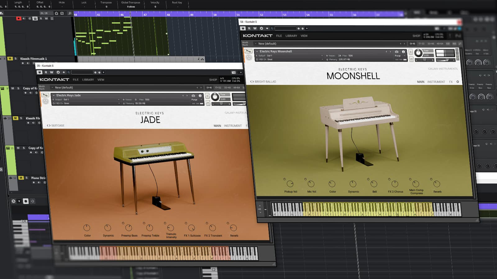 NI Electric Keys Reeds Duo- Piano-Plug-ins