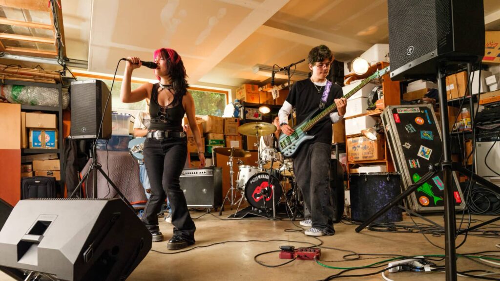 Mackie Thrash12v2 - Live-PA 